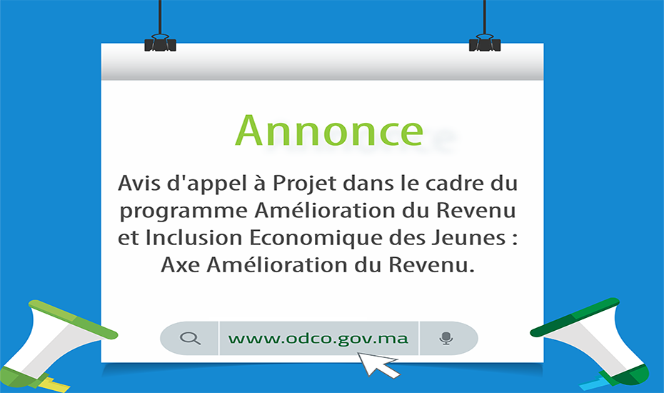Annonce : Avis d’appel à Projet ” Amélioration du revenu et inclusion économique des jeunes” de l’INDH