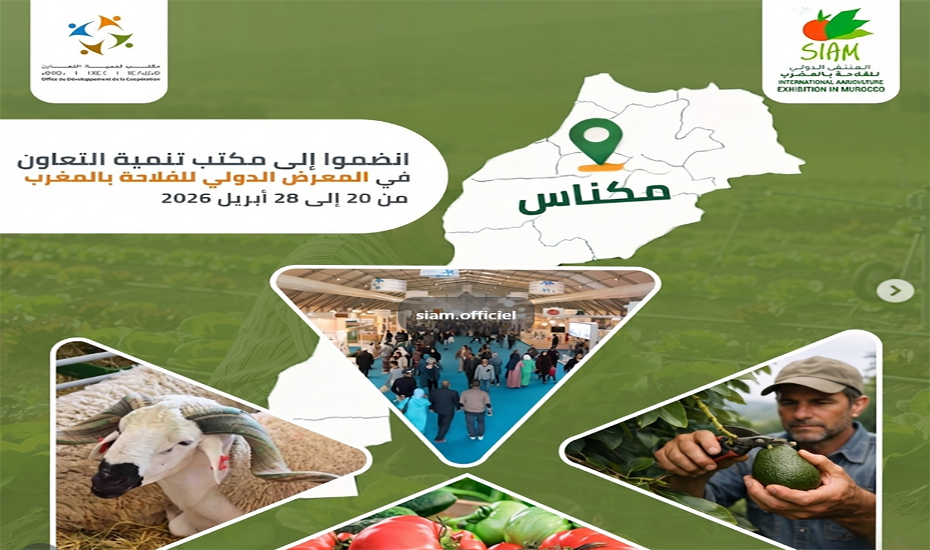 مكتب تنمية التعاون يشارك لأول مرة في المعرض الدولي للفلاحة بالمغرب